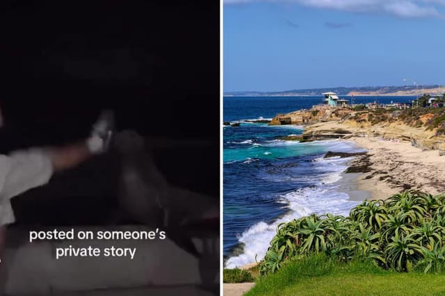 Shocking video shows heartless punk unleash flurry of kicks at sea lion on SoCal beach