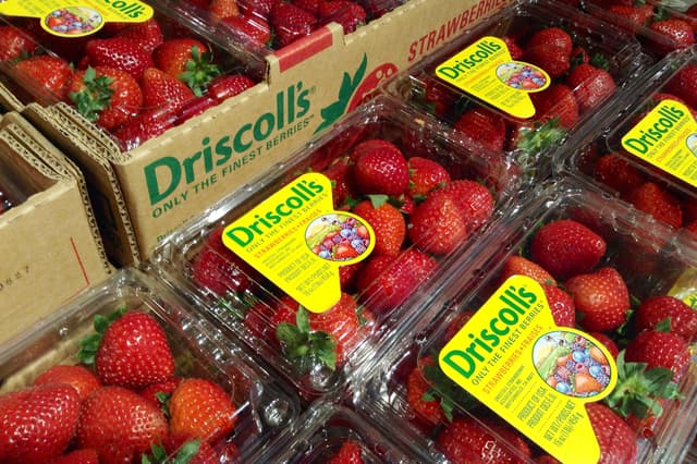 Driscoll's strawberries hit with accusations of pesticides and PFAS