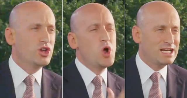 Stephen Miller Spews Armageddon Vision Of Democrat Takeover And Gets Cheeky Reply