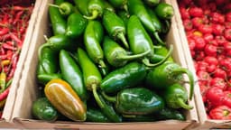 Jalapeño salmonella outbreak grows to 431 cases across 32 states