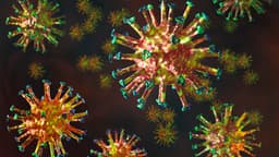 Where COVID-19 Is Spreading Right Now And The Most Common Symptoms