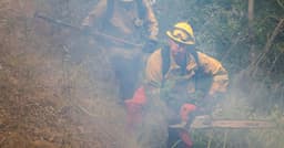 Officials warn wildland firefighters about risks of using supplement for smoke exposure