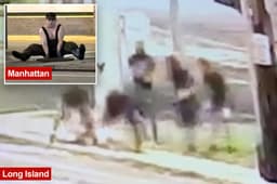 Long Island 'mole people' seen crawling into manhole