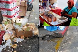 Disgusting details of 10K LA street food vending complaints revealed