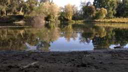 Man's body pulled from American River in Sacramento County