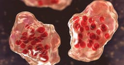 Central Minnesota county reports "several cases of suspected measles"
