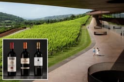 Italy hit by biggest-ever wine heist as thieves steal 30,000 bottles worth $5.8M