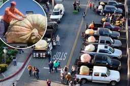 California pumpkin contest awards $21K to Minnesota grower