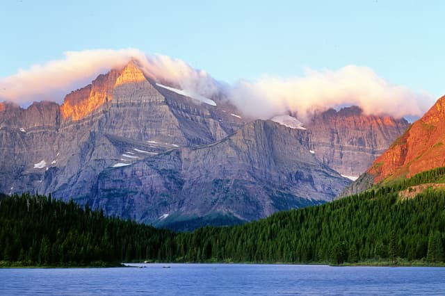 Deadly fungus rears its head at Glacier National Park for first time