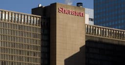 Pilot Was Bitten by Bat After Swarm Invaded Hotel Room, Lawsuit Says