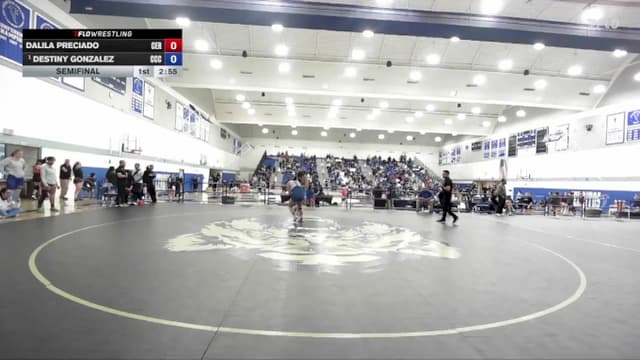 138 lbs Semifinal - Destiny Gonzalez, Colby Community College vs Dalila Preciado, Cerritos College