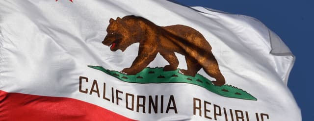 Most California Data Brokers Saw Few Privacy Opt-Out Requests