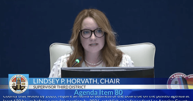 LA County ethics panel