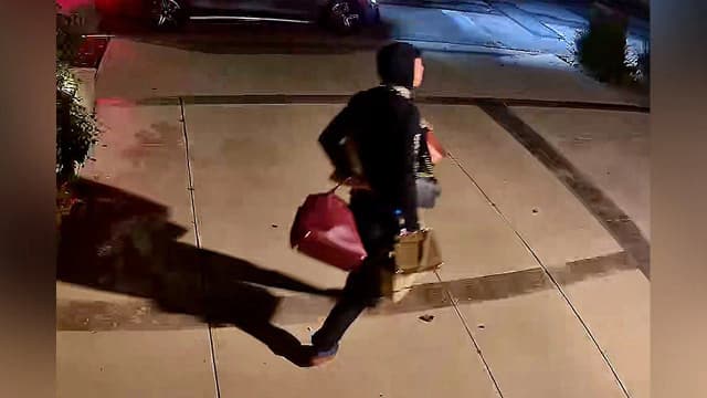 String of burglaries rocking LA residential area committed by South American gangs, DA says