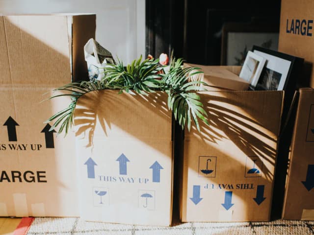 We moved from California to Texas for a cheaper lifestyle. We disliked almost everything else, and are moving back.