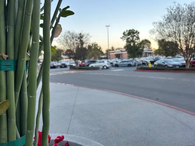 TikToker Nahsiyah ‘Siyah’ Turner, 17, died after shooting at Cerritos mall