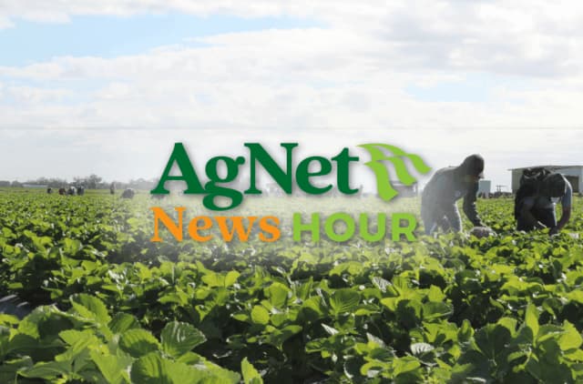 Driscoll's CEO Highlights Consumer Education and California Farming Challenges