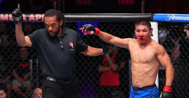 Referee Herb Dean makes mess of The Ultimate Fighter 34 fight with confusing call