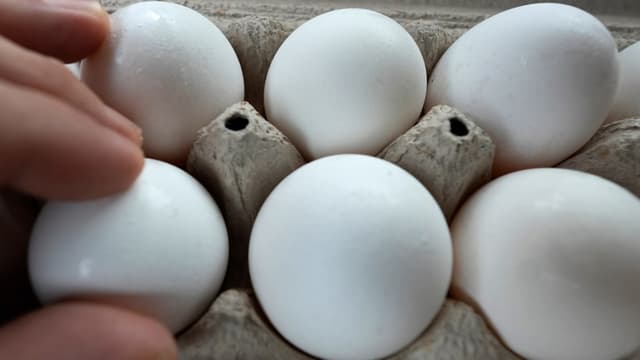 Dozens sickened across 17 states in salmonella outbreak linked to recalled eggs: What to know
