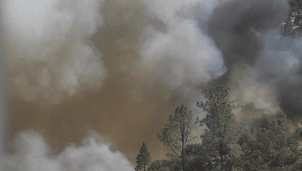 Dove Fire: Mandatory evacuations prompted by vegetation fire in Tuolumne County
