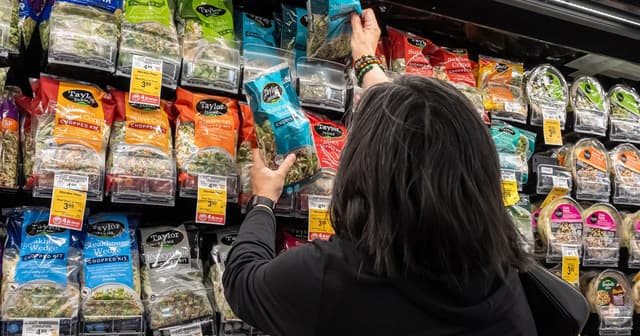 Cyclospora outbreak dubbed "lettuce-gate" as concerns over parasitic illness spread across U.S.