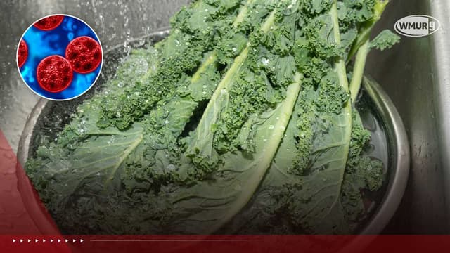 9 cases of cyclosporiasis linked to lettuce served at hospital in NH