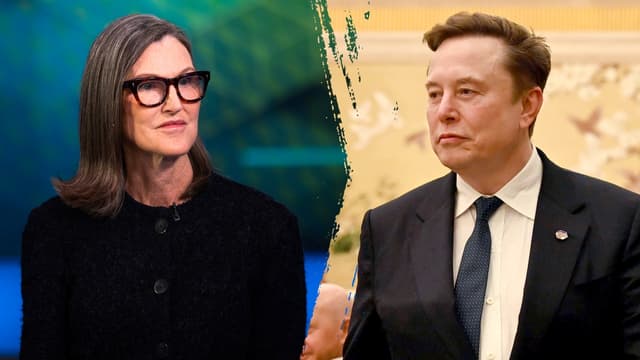 Cathie Wood calls SpaceX 'most important company' amid stock pullback