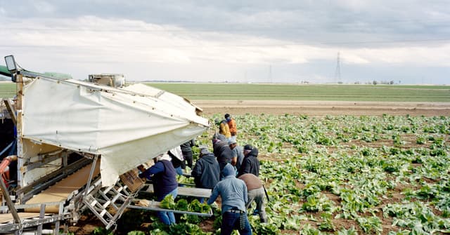 Cyclospora Cases in the U.S. Hit Record High