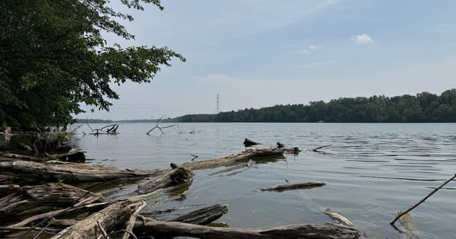 5 drown in Ohio's Scioto River as child runs for help