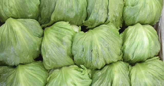 Taylor Farms to Remove Products After Lettuce Is Linked to Cyclospora Cases