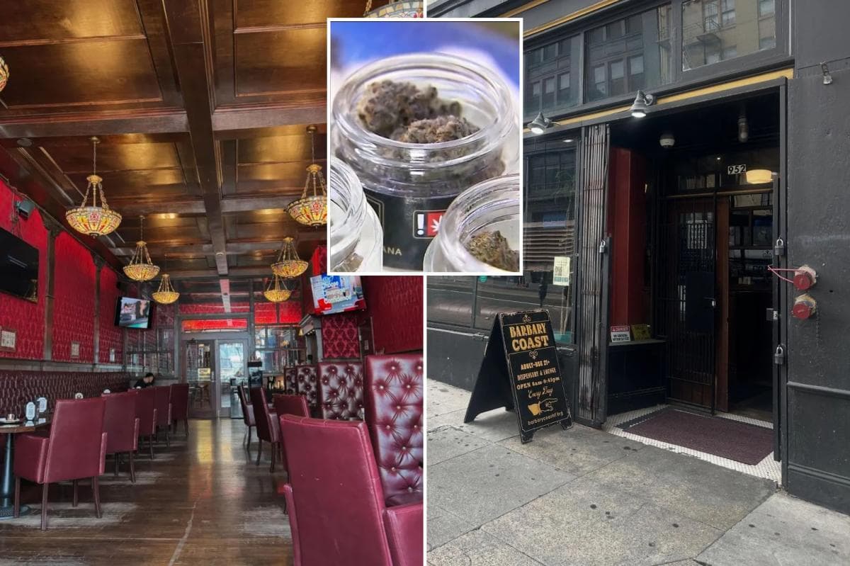 California city OKs law allowing Amsterdam-style cannabis cafes