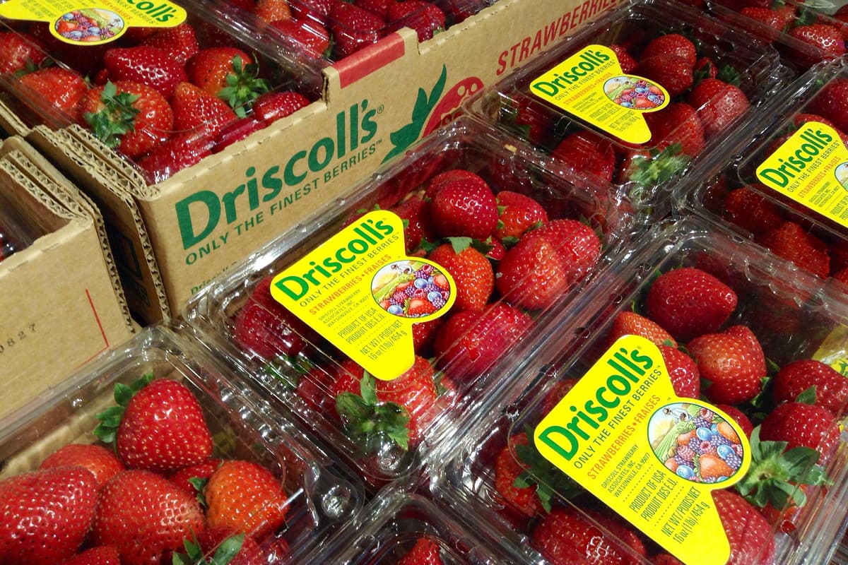 Driscoll's strawberries hit with accusations of pesticides and PFAS