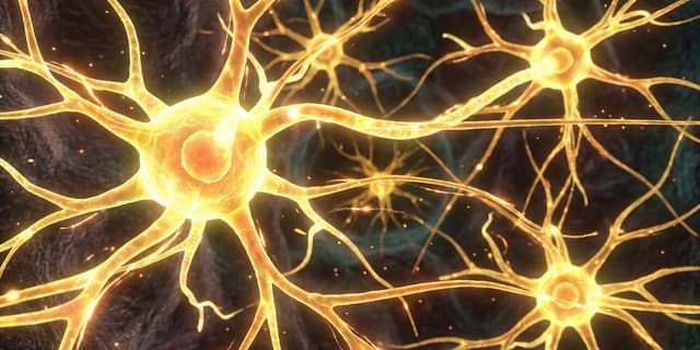 A single dose of psilocybin reduces reward-seeking behavior by altering inhibitory brain cells