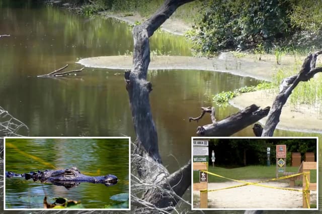 Boyfriend desperately tried to save hiker as massive alligator ripped her apart in three feet of water