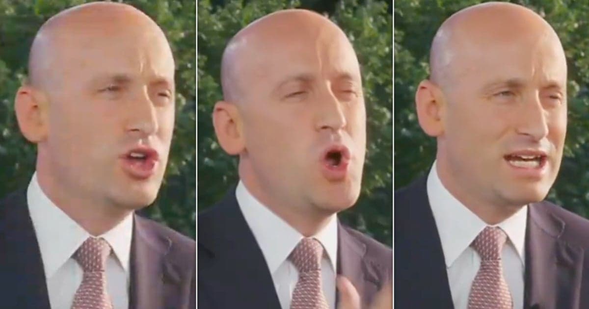Stephen Miller Spews Armageddon Vision Of Democrat Takeover And Gets Cheeky Reply