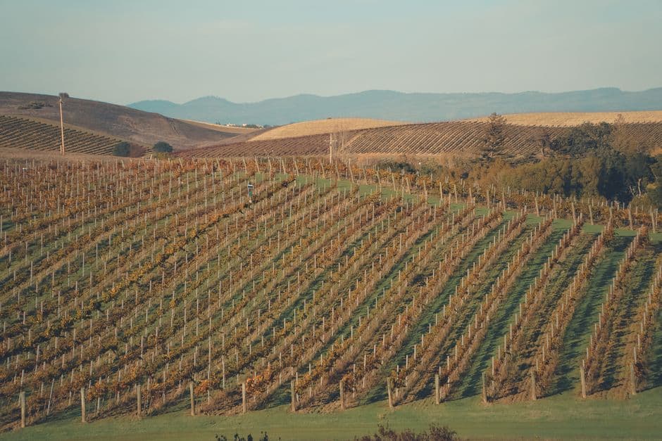 HMC Subsidiary Sells Controversial California Vineyard Property