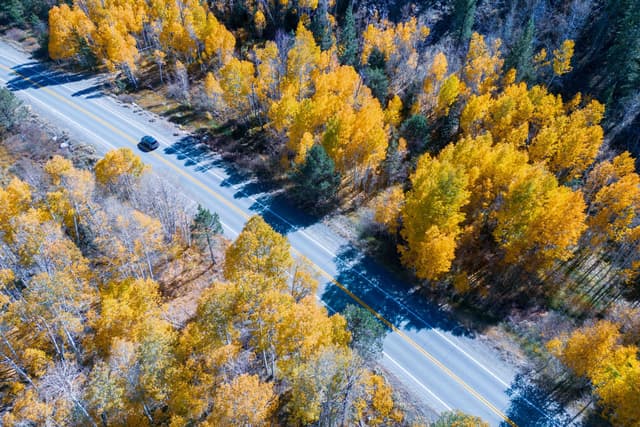 California AG Settlement with Aspen Highlights Heightened Scrutiny of CPOD Structures