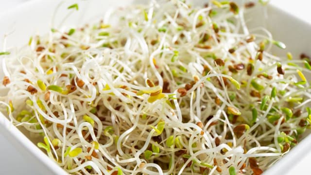 E coli and salmonella outbreak tied to alfalfa sprouts sickens 55