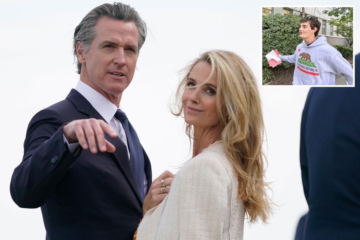 Californians slam Gavin Newsom's 'Stop Nick Shirley Act'