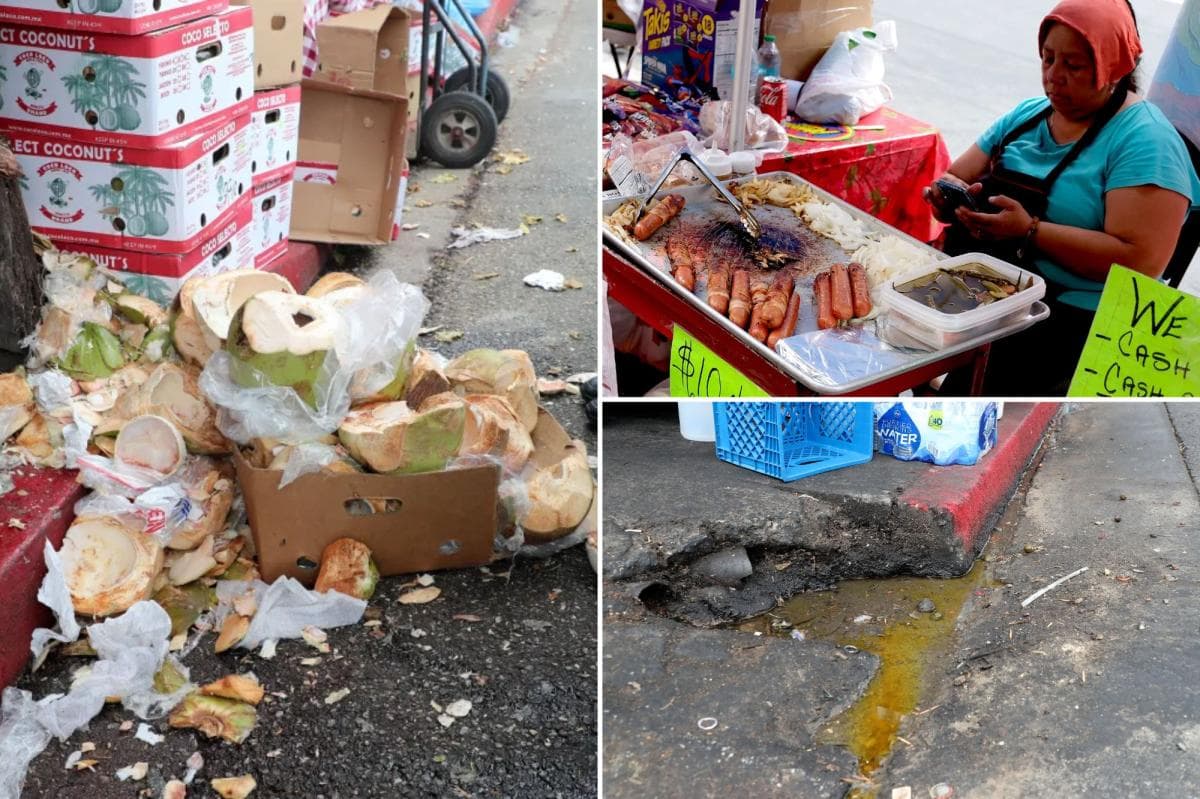 Disgusting details of 10K LA street food vending complaints revealed
