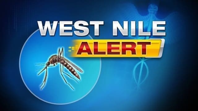 Human case of West Nile Virus confirmed in Duval County