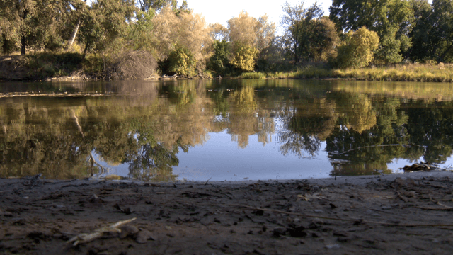 Man's body pulled from American River in Sacramento County