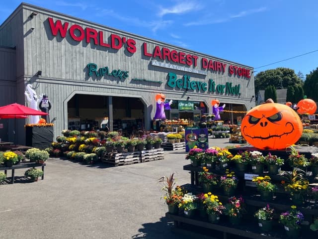 Stew Leonard's Announces 2026 Halloween Events In Norwalk: PHOTOS
