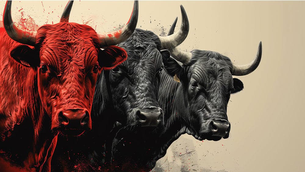 Dow Jones Futures: S&P 500 Hits High As Astera, GE Vernova, Arista Lead Buys, But These Stocks Tumble