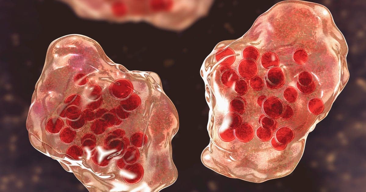 Central Minnesota county reports "several cases of suspected measles"