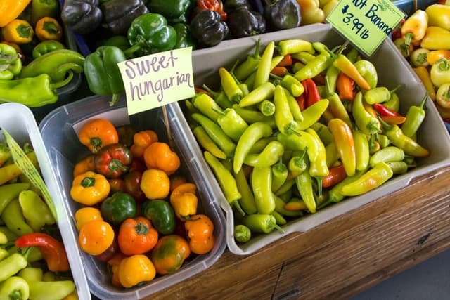 Sarasota Farmers Market named No. 1 in America