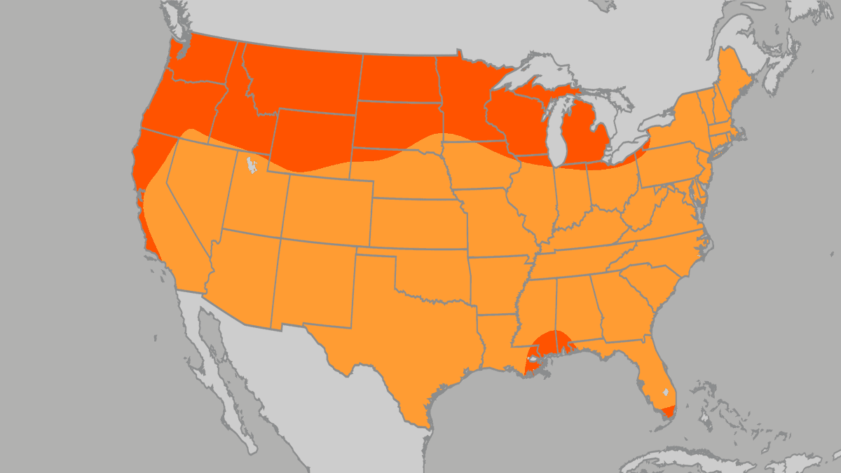 El Niño is taking charge of weather patterns