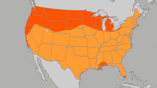 El Niño is taking charge of weather patterns