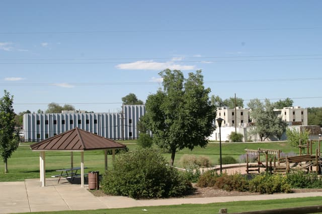 Flock AI camera discussions send Lakewood into tizzy